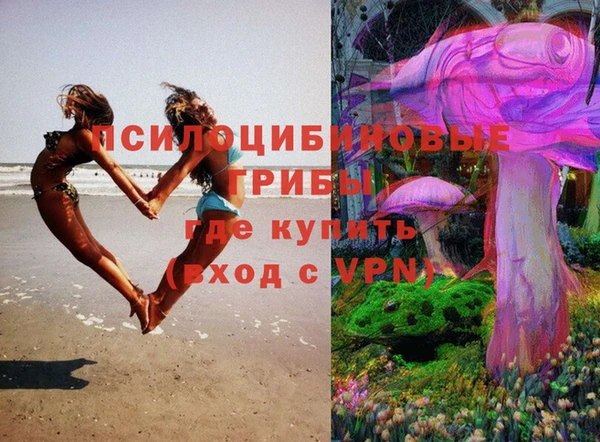ECSTASY Гусь-Хрустальный