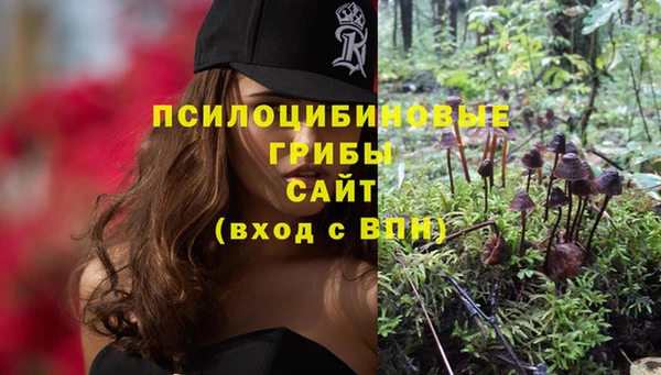 ECSTASY Гусь-Хрустальный