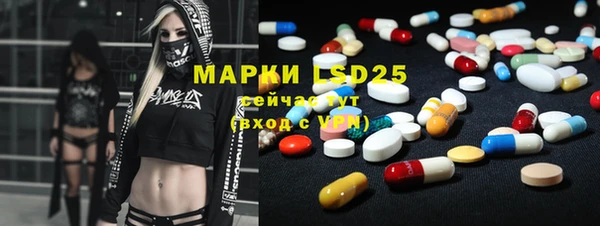 ECSTASY Гусь-Хрустальный