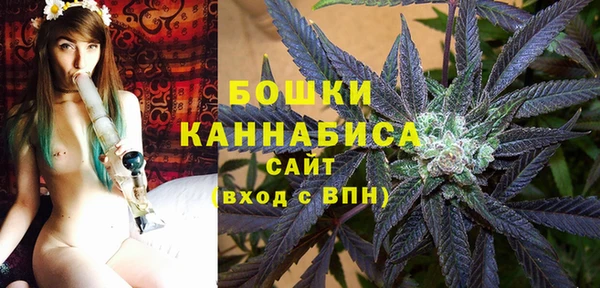 таблы Гусев
