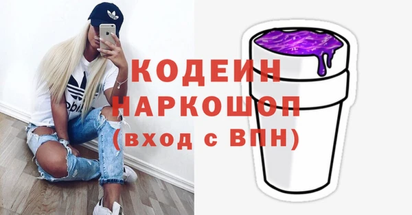 таблы Гусев