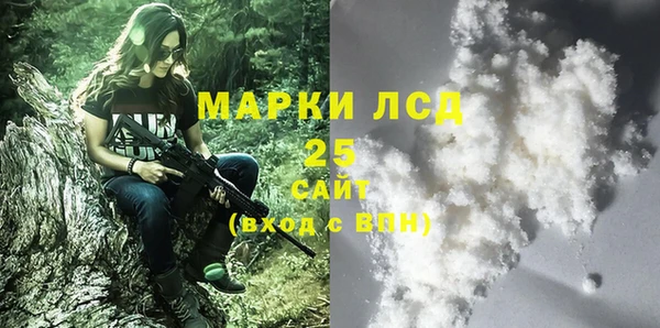 таблы Гусев