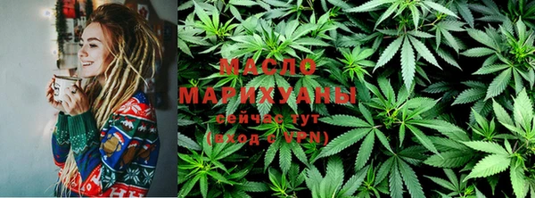 ECSTASY Гусь-Хрустальный