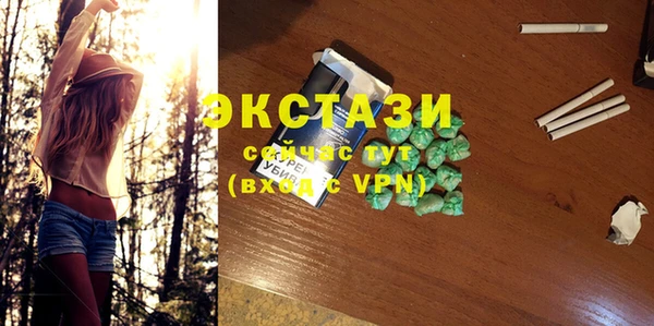 ECSTASY Гусь-Хрустальный