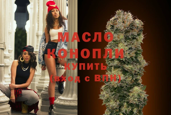 таблы Гусев