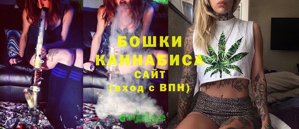ECSTASY Гусь-Хрустальный