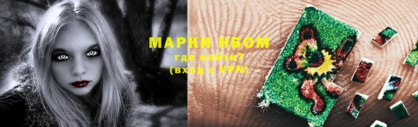 ECSTASY Гусь-Хрустальный