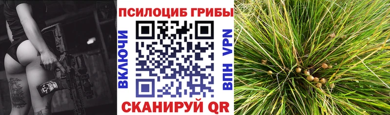 Галлюциногенные грибы Magic Shrooms  Козловка 